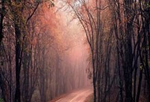 郑钦文今日打响澳网揭幕战 一起为中国选手加油央视新闻客户端.