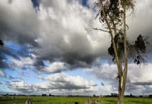 虎扑体育官网：追忆逝者,2024年世界体坛星光陨落_上观新闻.